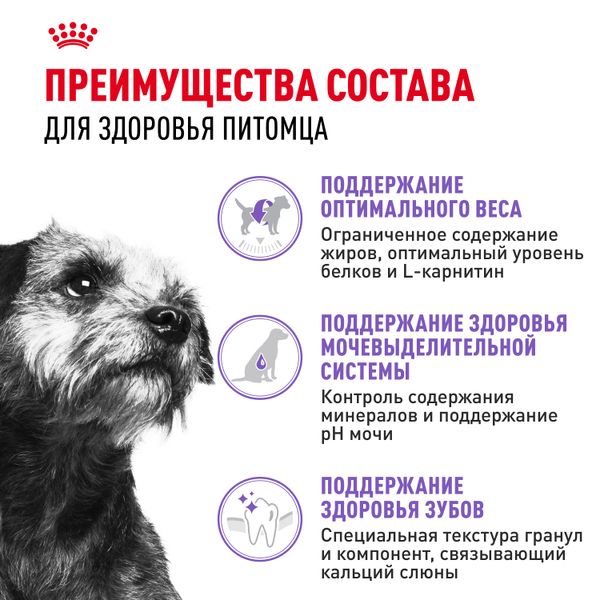 Сухой корм Royal Canin Mini Sterilised для взрослых стерилизованных собак мелких размеров, склонных к набору веса