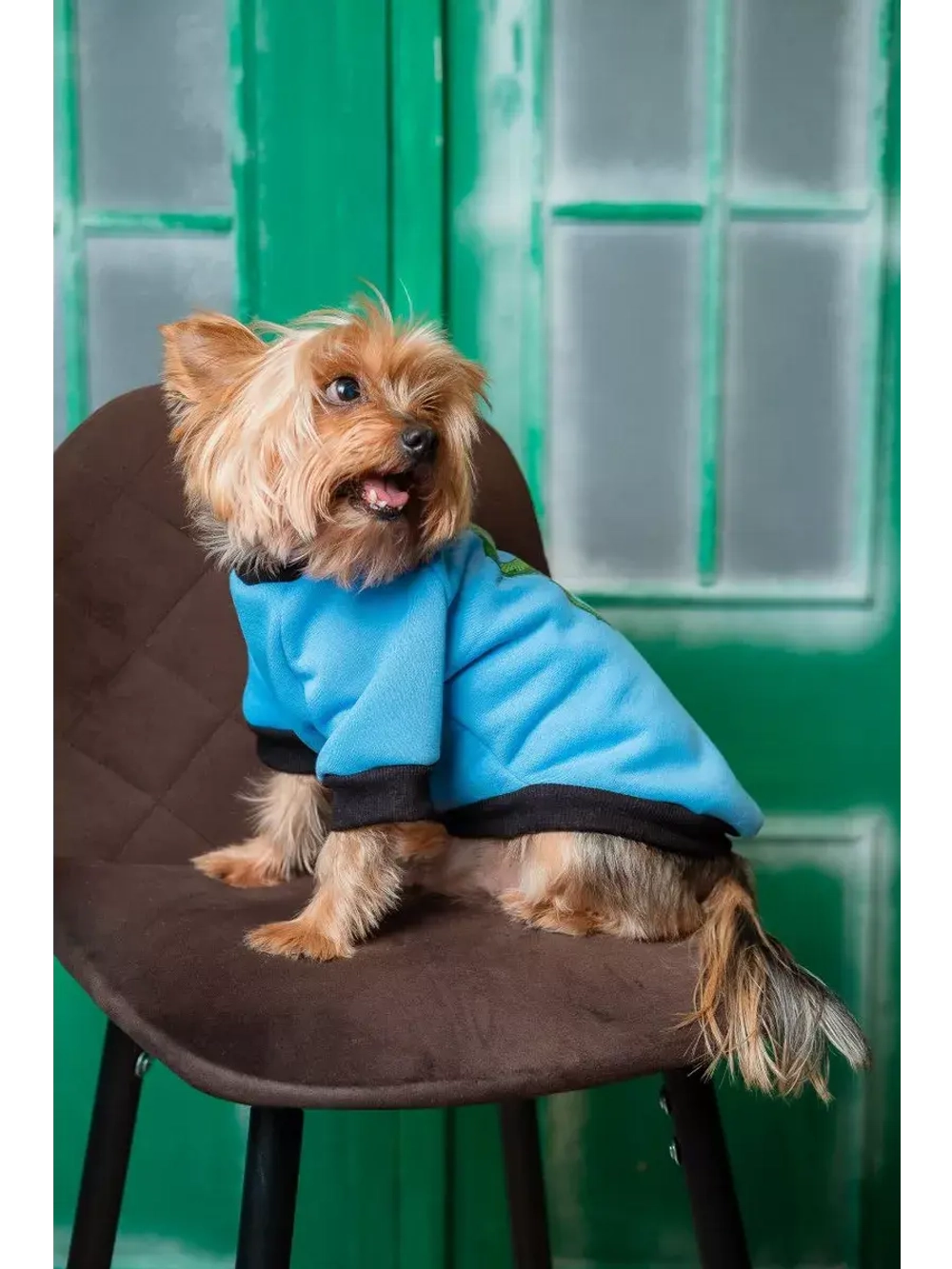 Толстовка для собак и кошек