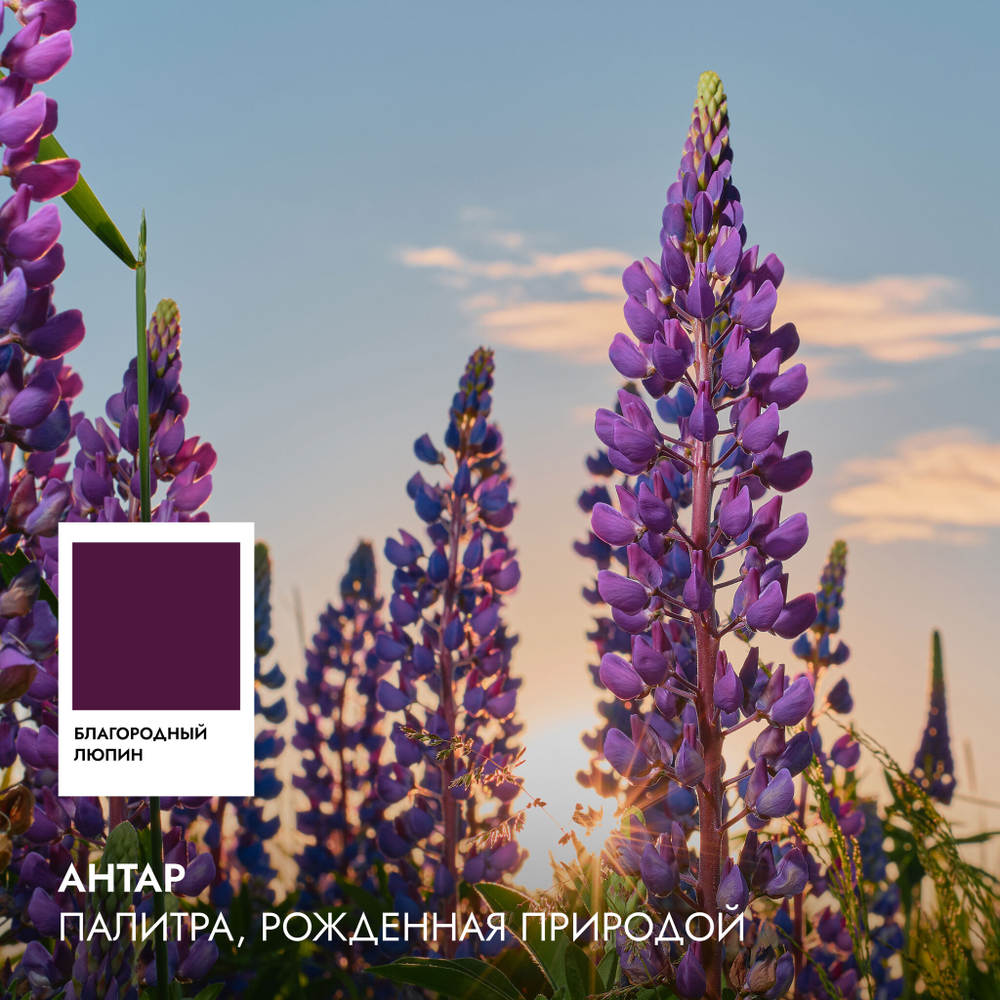 Вся коллекция Антар 7,5 мл