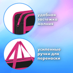 Папка на молнии с ручками BRAUBERG А4 1 отделение пластик 80 мм "Anime girl" (3 штуки в упаковке)