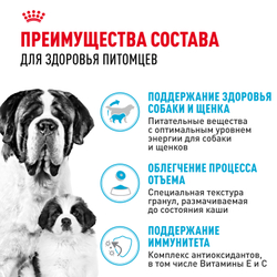Сухой корм Royal Canin Джайнт Стартер для собак гигантских пород в конце беременности и в период лактации, для щенков до 2-х месяцев - 4 кг