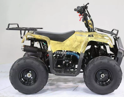 Квадроцикл MOTOLAND (МОТОЛЕНД) 110 RIDER