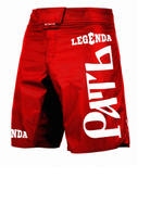 Шорты спортивные ММА Legenda Рать, красные