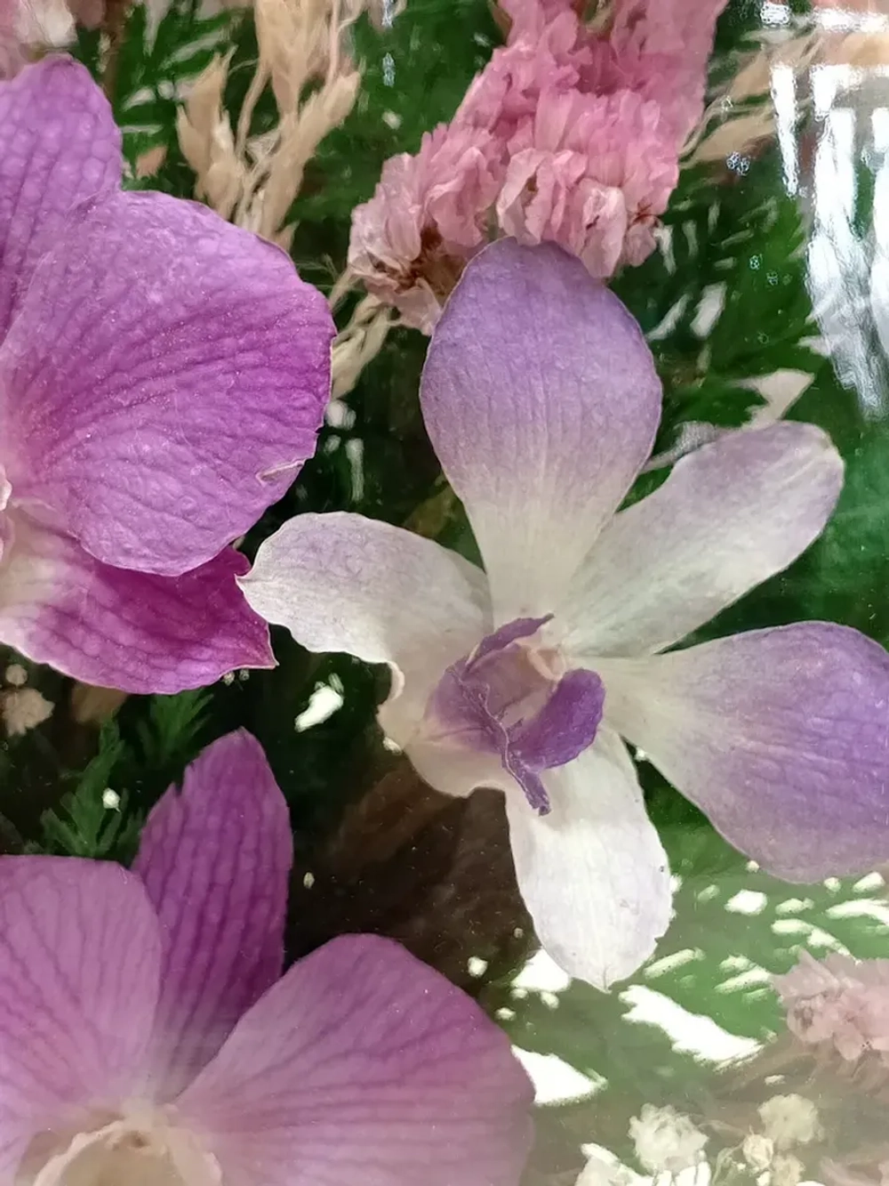 натуральные цветы в стекле, вакуум