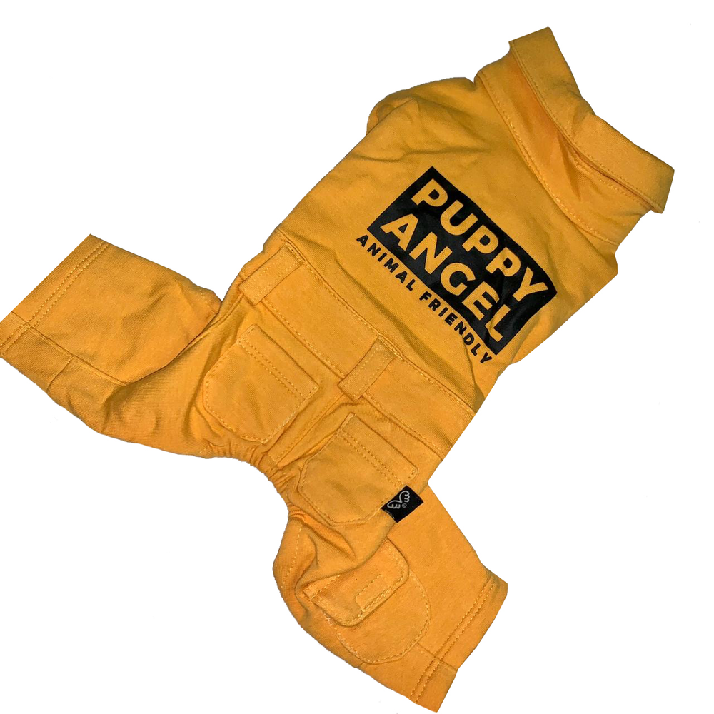 473 Спортивный костюм "Puppy Angel"