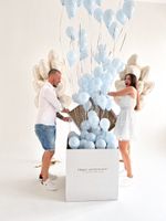 Воздушные шары №8388