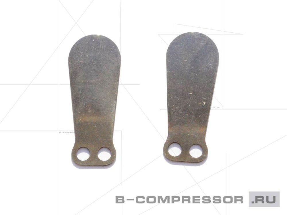 Пластины клапанные малые 2 штуки СБ4 LB50 и LB75 фото