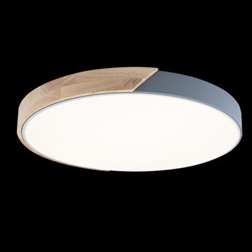 Потолочный светильник LED 36W 4000К 10004/36 Grey серый Axel LOFT IT