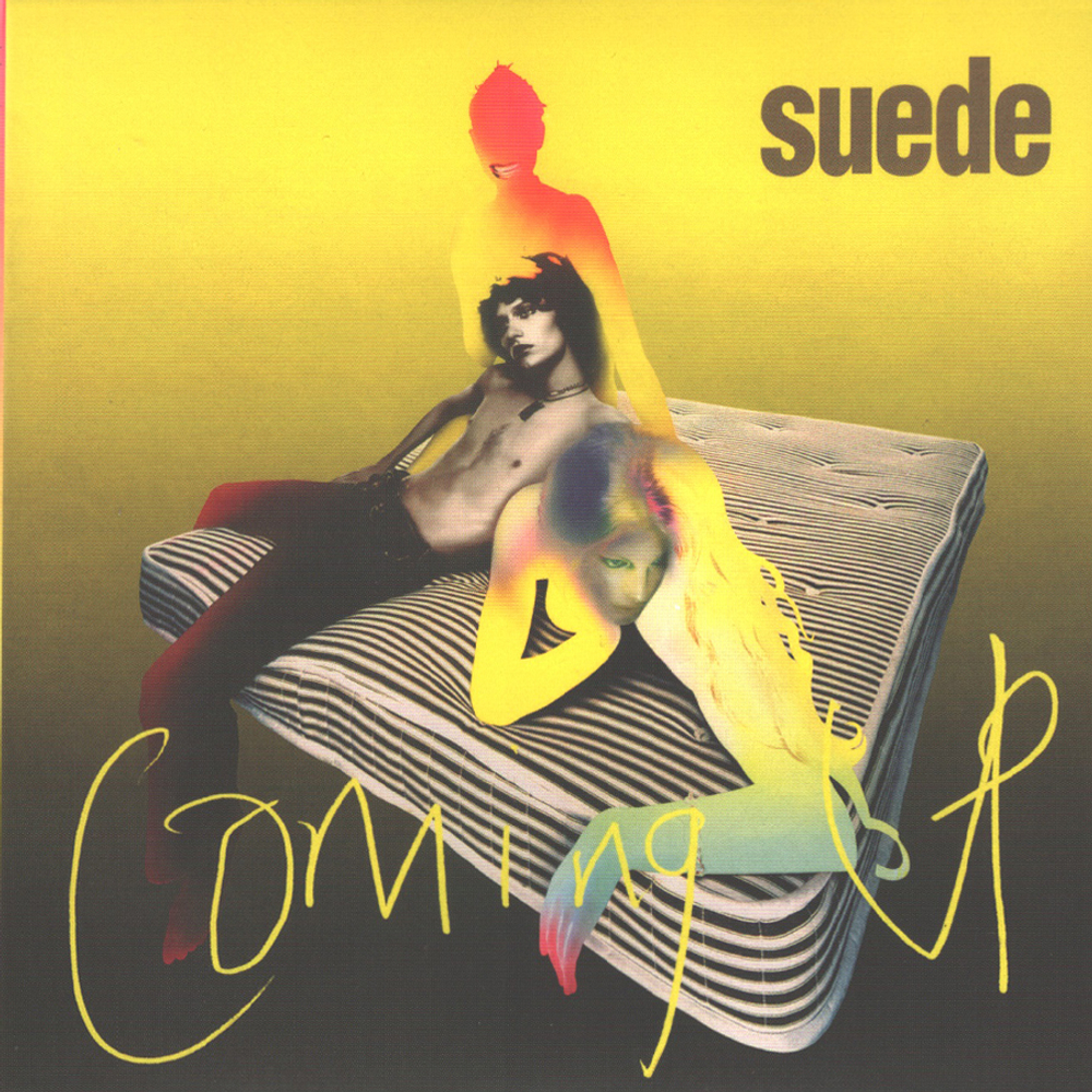 Suede / The Albums Collection (8CD)