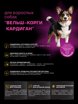 Корм для взрослых собак породы Вельш-корги кардиган, с говядиной, 2,5 кг, QUATTRO