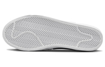 Кроссовки Nike Sb Zoom Pogo Plus (Женская размерная сетка)