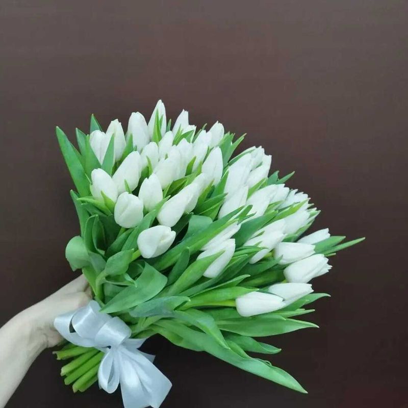 Букет 51 Тюльпан (Б-490)