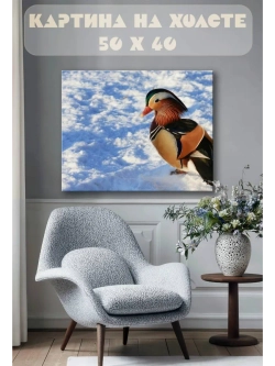 Картина на стену 40 X 50 Утка мандаринка