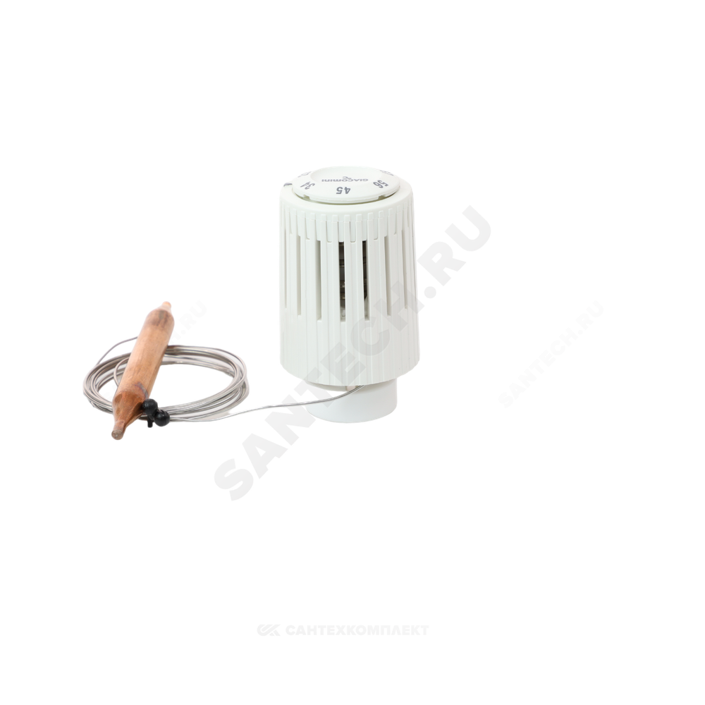 Элемент термостатический R462L1 жид/нап клипс clip-clap 20-70oC с погружным темп/датчиком L=2 м Giacomini R462LX011