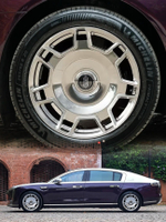 КОВАНЫЕ ДИСКИ ДЛЯ STELATO / MAEXTRO S800 СТЕЛАТО