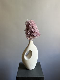 Гортензия стабилизированная сиреневая крупнолистная