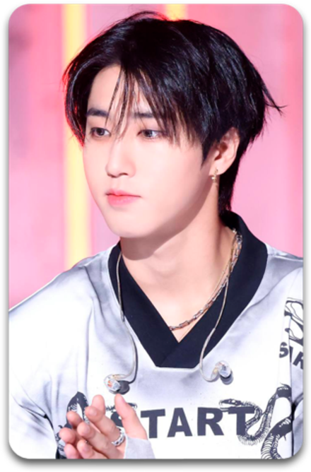 Карта / STRAY KIDS #4391