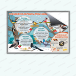 Комплект развивающий Мир птиц: Чем можно кормить птиц зимой 2158