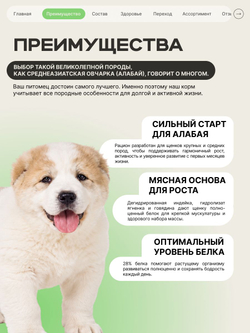 Корм сухой для щенков породы Среднеазиатская овчарка (Алабай), с ягненком, 3 кг, QUATTRO