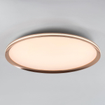Потолочный светодиодный cветильник LED4U L3020-600 GD