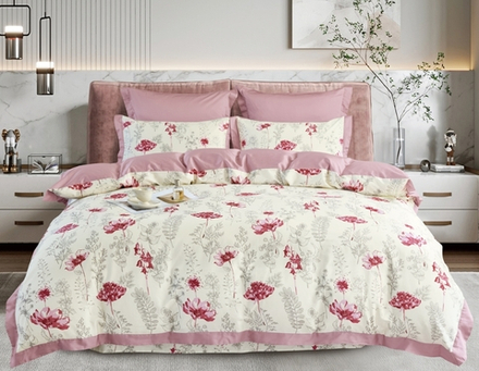 Постельное белье СайлиД T-058 сатин