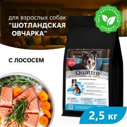 Корм сухой для взрослых собак породы Шотландская овчарка, премиум полнорационный комплекс, с лососем, 2,5 кг, QUATTRO
