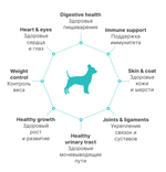 PREMIER Свежее филе лосося с индейкой для взрослых собак мелких пород