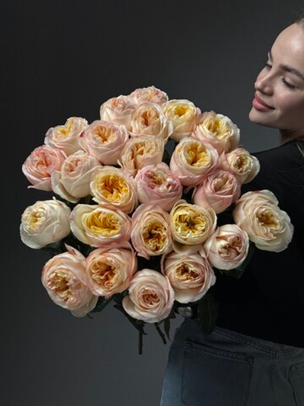 Букет из 25 персиковых пионовидных роз под ленту