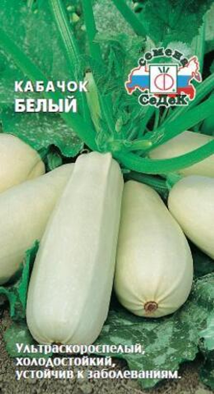 кабачок Белый