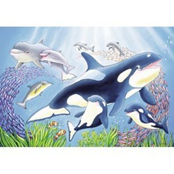 Puzzle Vibrance Under the Sea 2x24p