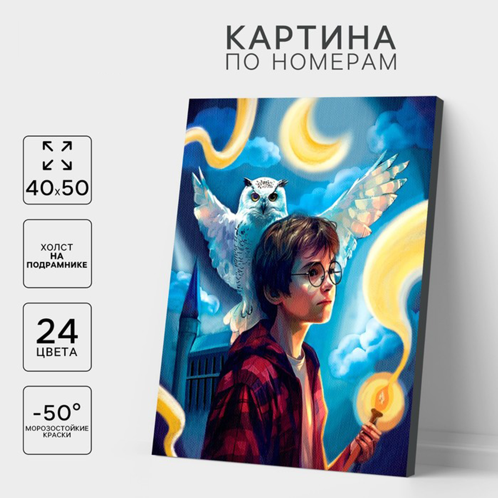 Картина по номерам «Волшебство рядом», 40 х 50 см