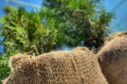 Собственное производство (ком)