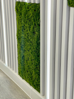 Вертикальное озеленение частного интерьера искусственным мхом. г.Краснодар