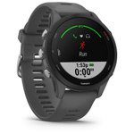 Часы Garmin FORERUNNER 255 Slate Grey, 010-02641-10