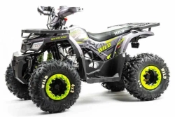 Квадроцикл Motoland 125 WILD (2020 г.)
