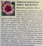 Лапчатка Мисс Виллмонт 0,01 г СМЦ-637