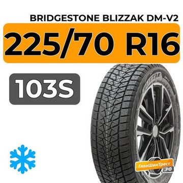 Bridgestone Blizzak DM-V2 225/70 R16 103S