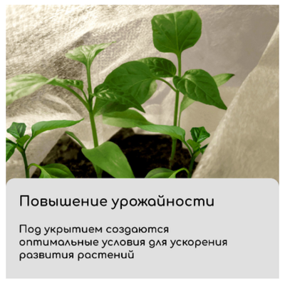 Материал укрывной, 5 × 3.2 м, плотность 20 г/м², спанбонд с УФ-стабилизатором, белый, Greengo, Эконо