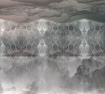 Дизайнерские обои Wall Street Euphoria