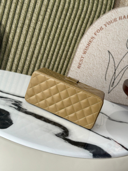 Chanel Bag (2 sizes)