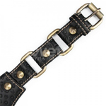 Ошейник с поводком в виде галстука Rebellion Reign