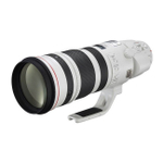 Canon EF 200-400mm f/4L IS USM Extender 1.4X_1