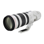 Canon EF 200-400mm f/4L IS USM Extender 1.4X_1