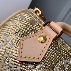 Louis Vuitton Nano Speedy
