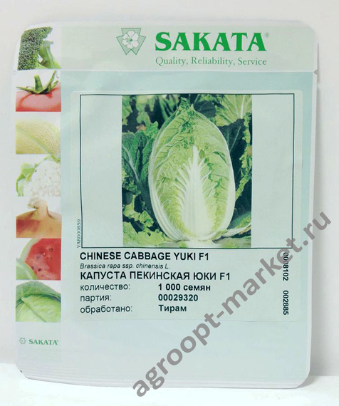Юки F1 семена капусты пекинской (Sakata / Саката) – фото 3
