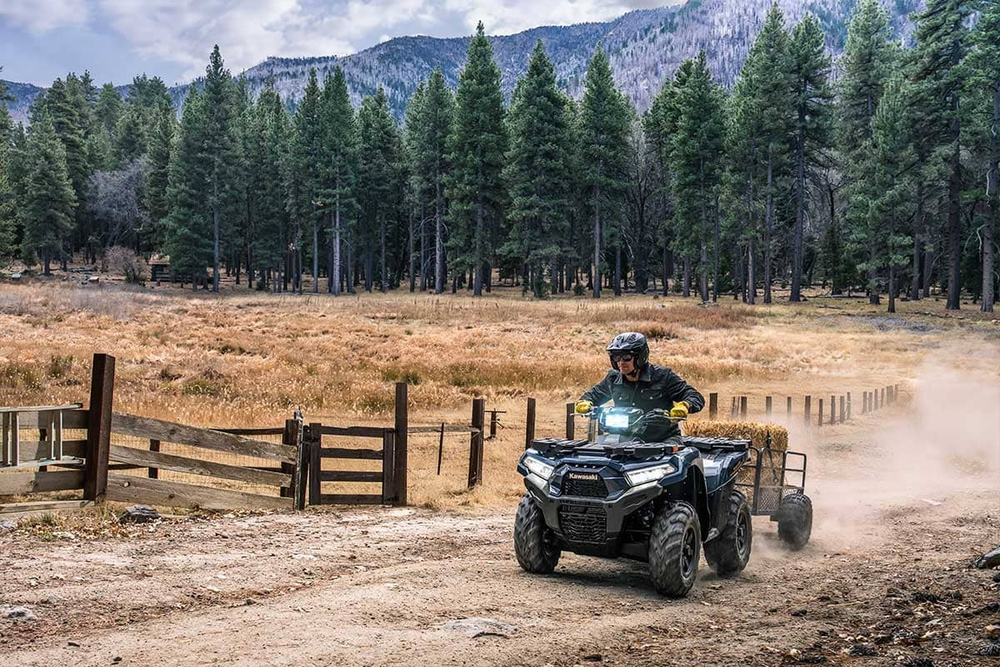 Квадроцикл KAWASAKI Brute Force 750 EPS (2024) (ПСМ)