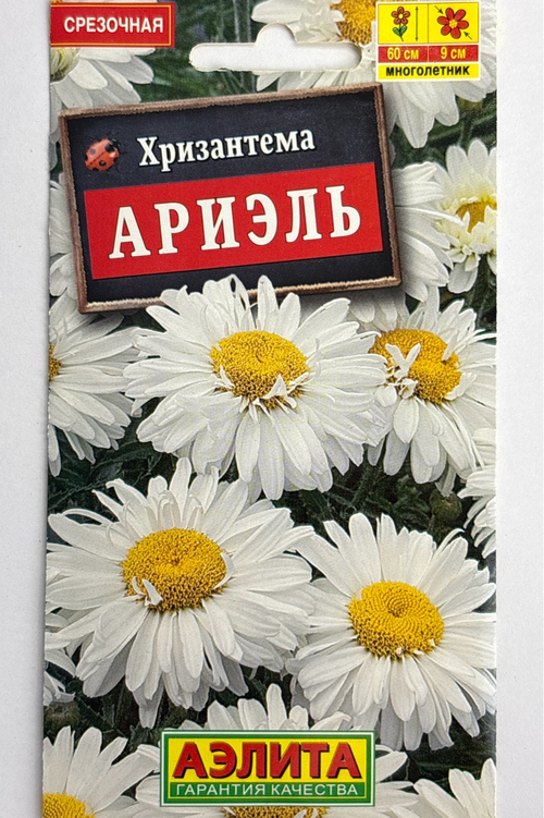 Хризантема Ариэль СМЦ-340