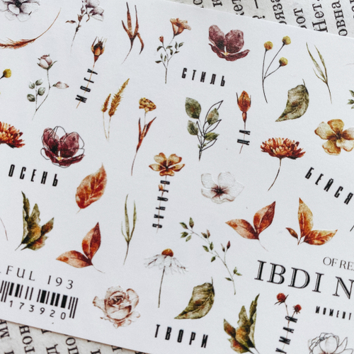 IBDI слайдер дизайн COLORFUL №193