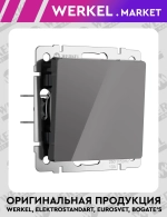 Выключатель одноклавишный проходной (графит акрил) W1112044