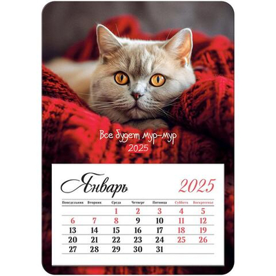 Календарь отрывной на магните 95*135мм 2025г. "Мур-мур" (BG)